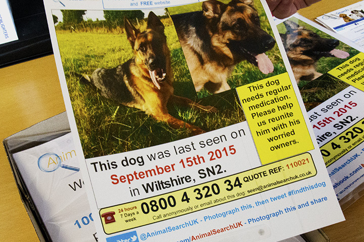 Animal Search | The UKs largest missing pet organisation