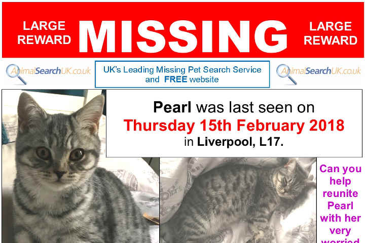 Animal Search | The UKs largest missing pet organisation