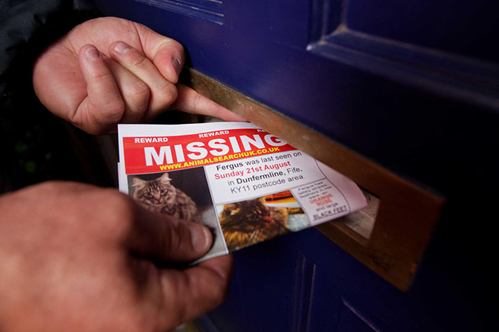 Leaflet in the mailbox